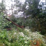 stormschade juli 2010