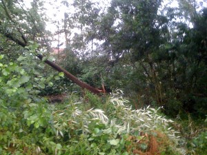 stormschade juli 2010