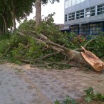 stormschade juli 2010