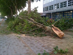 stormschade juli 2010